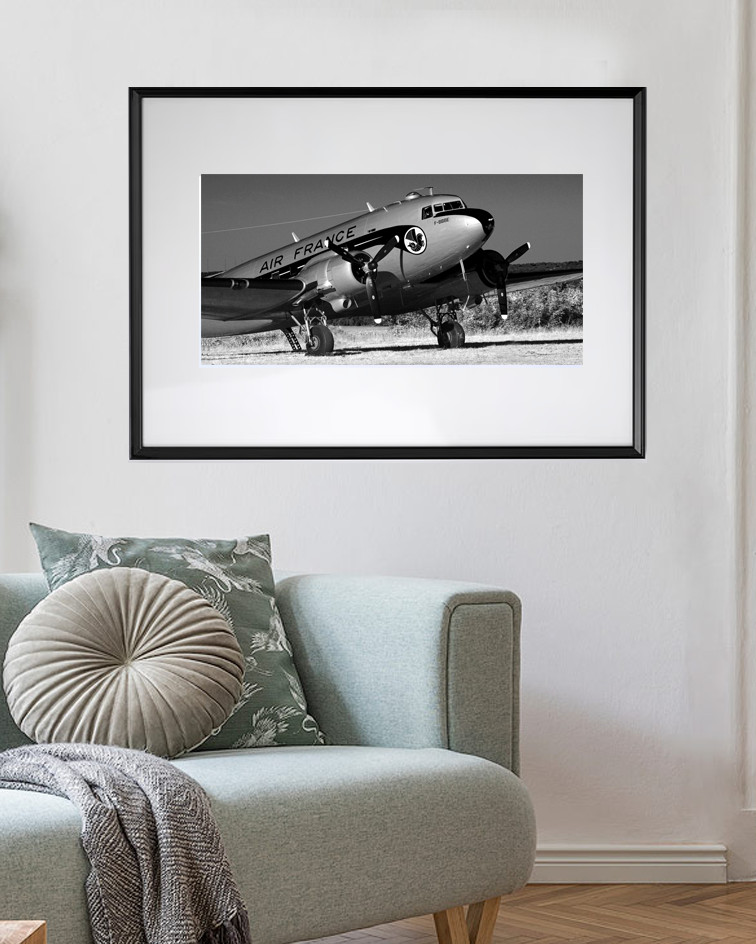 L’élégance ailée – Souvenir d’un ciel français