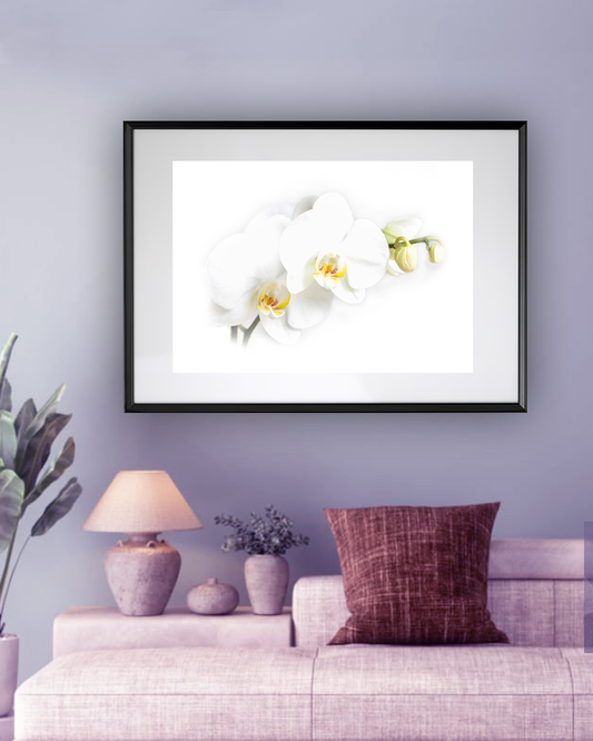 Une fleur, un éclat, un instant d’éternité