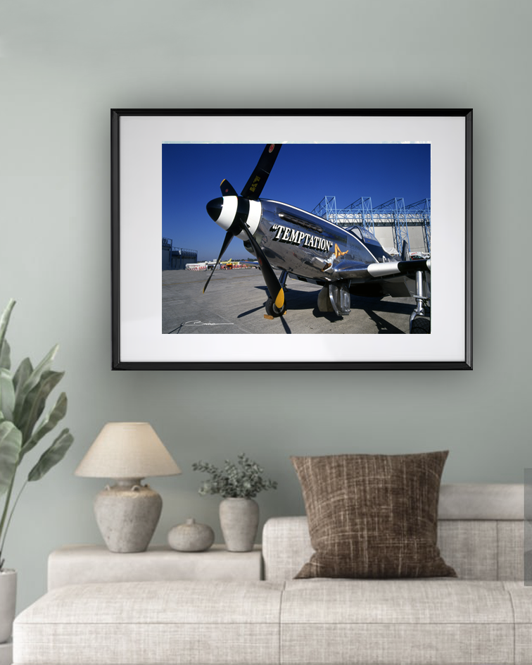 P-51 Mustang ref 0145