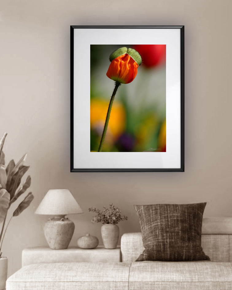 Une naissance, un souffle, un instant