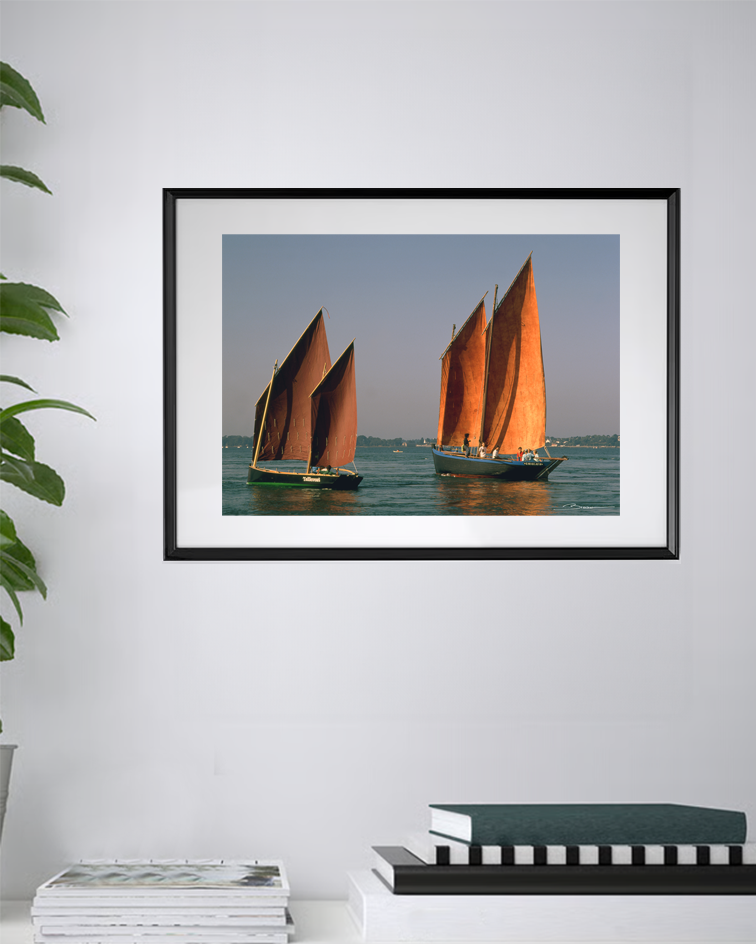 Synagots à voiles rouges, messagers du vent et du temps