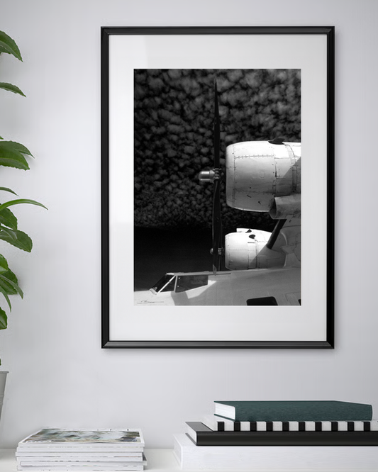 L’oiseau des mers – Portrait noir et blanc d’un Catalina