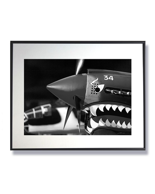 Le Rugissement du Tigre Volant - Curtiss P-40