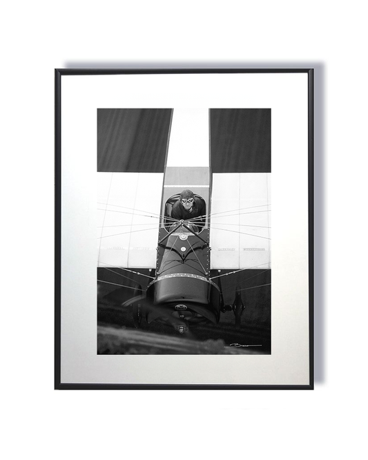 Dans le Sillage de Roland Garros - Morane-Saulnier Type H