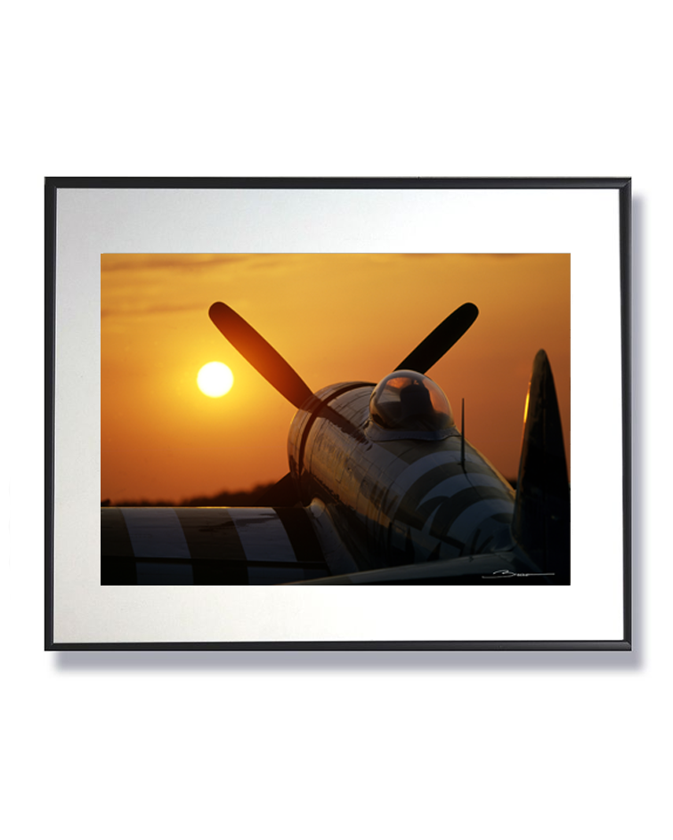 Dernier vol au soleil couchant