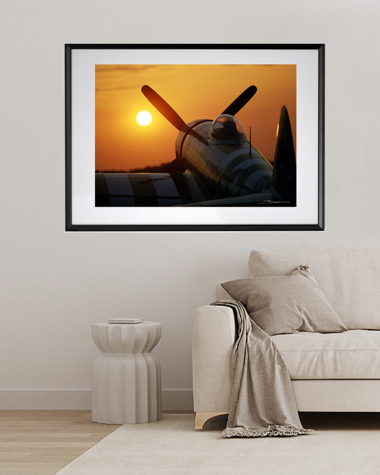 Dernier vol au soleil couchant