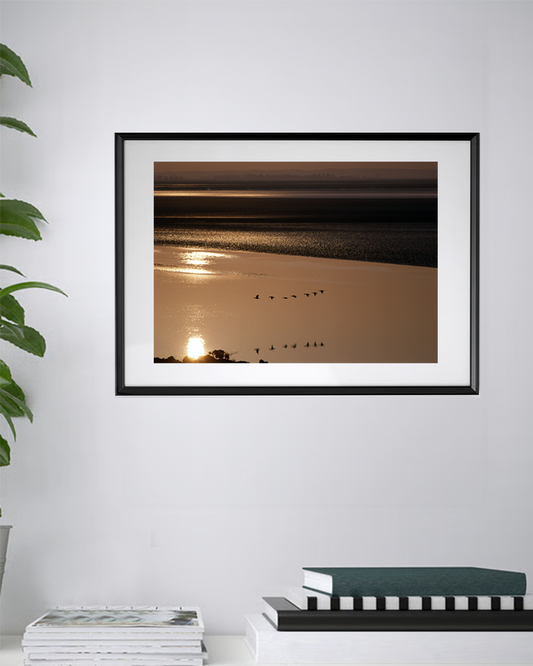 Horizons dorés et envol de lumière