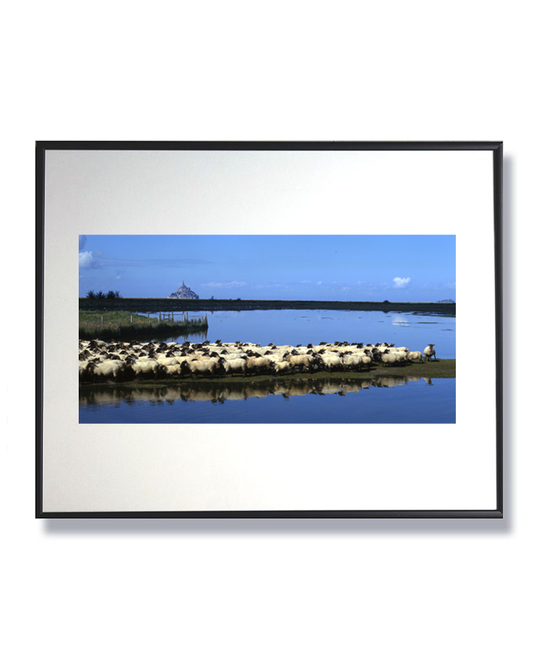 Jeu de lumière et de reflets