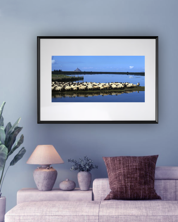 Jeu de lumière et de reflets