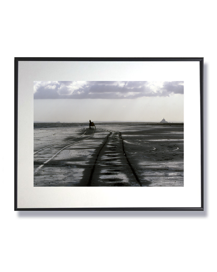 Un cheval vers l’horizon