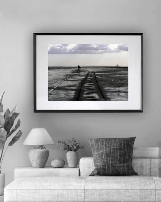 Un cheval vers l’horizon