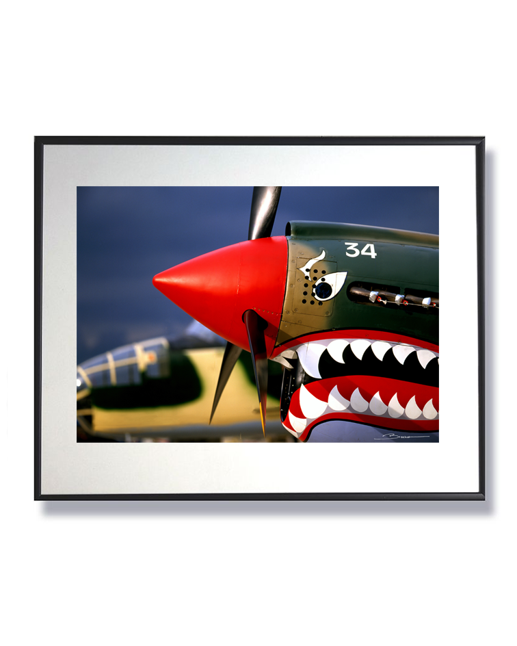 Curtiss P-40 ref 0012