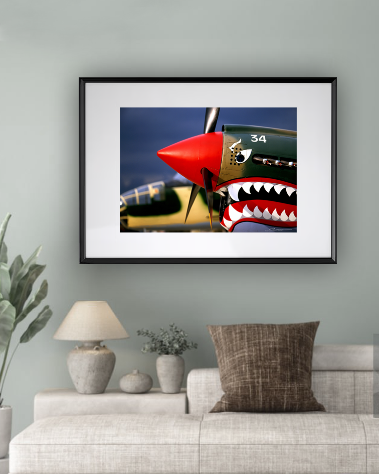 Curtiss P-40 ref 0012