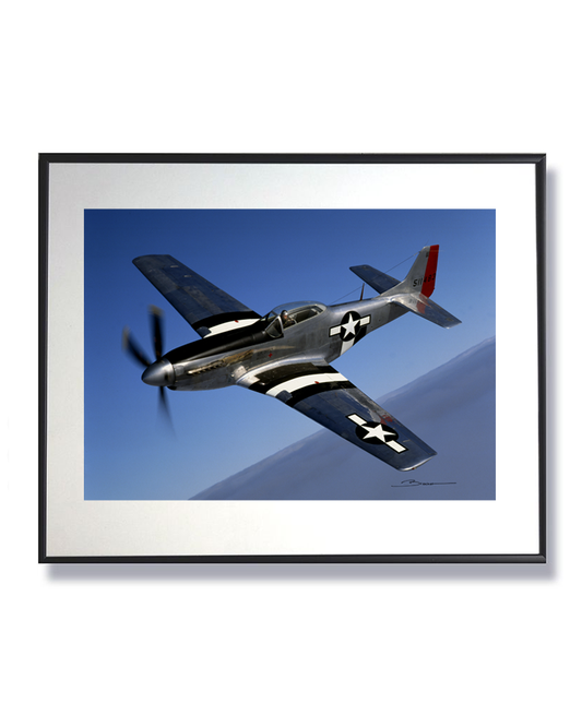 Mustang P-51 ref 0039