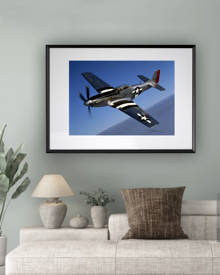 Mustang P-51 ref 0039