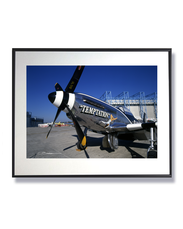 P-51 Mustang ref 0145