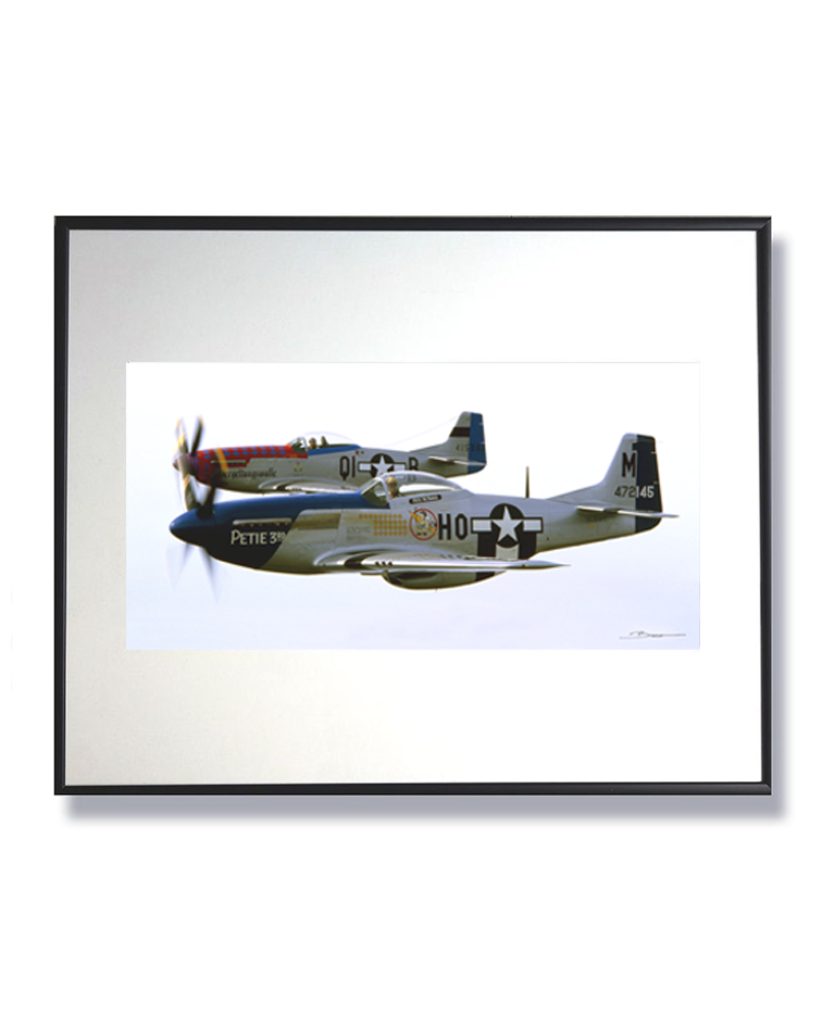 Le chant du Merlin dans le ciel éternel