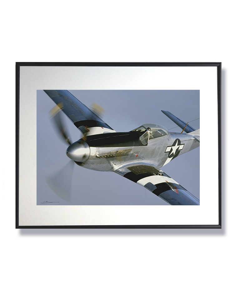 Le Rugissement d’Argent - North American P-51D Mustang