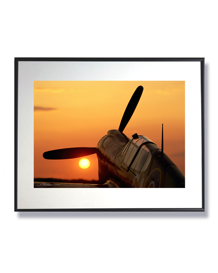 Dernière Lumière sur le Curtiss P-40