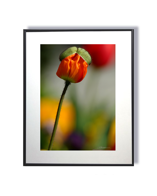 Une naissance, un souffle, un instant