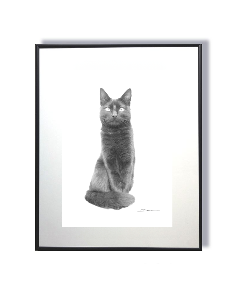 Sous l’Aura de Bastet – Le Chat des Dieux