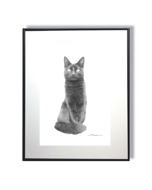 Sous l’Aura de Bastet – Le Chat des Dieux