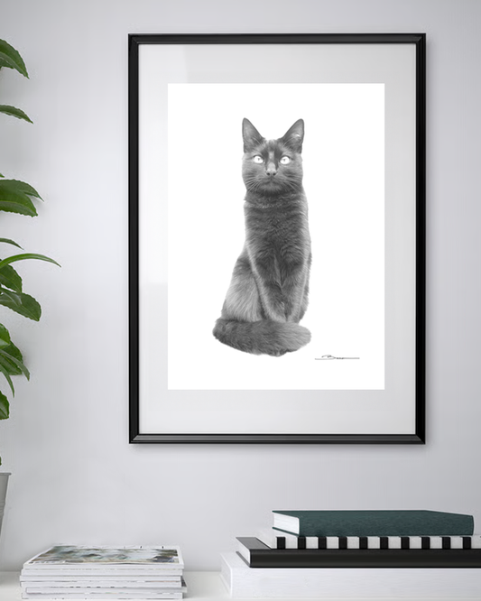 Sous l’Aura de Bastet – Le Chat des Dieux