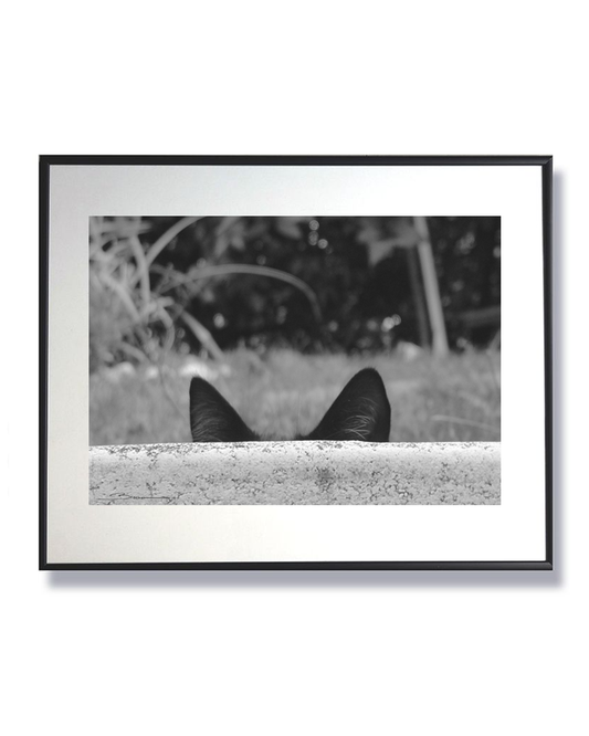 Écoute cachée – Murmures du jardin secret