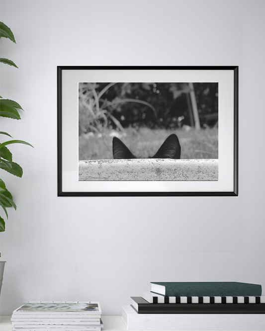 Écoute cachée – Murmures du jardin secret